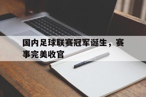 开云体育官网入口网页版-国内足球联赛冠军诞生，赛事完美收官的简单介绍